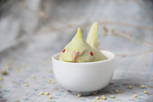 Cockatiel in Teacup Figurine