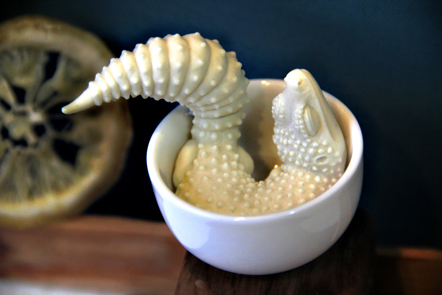Gecko in Teacup Figurine - Model Kit