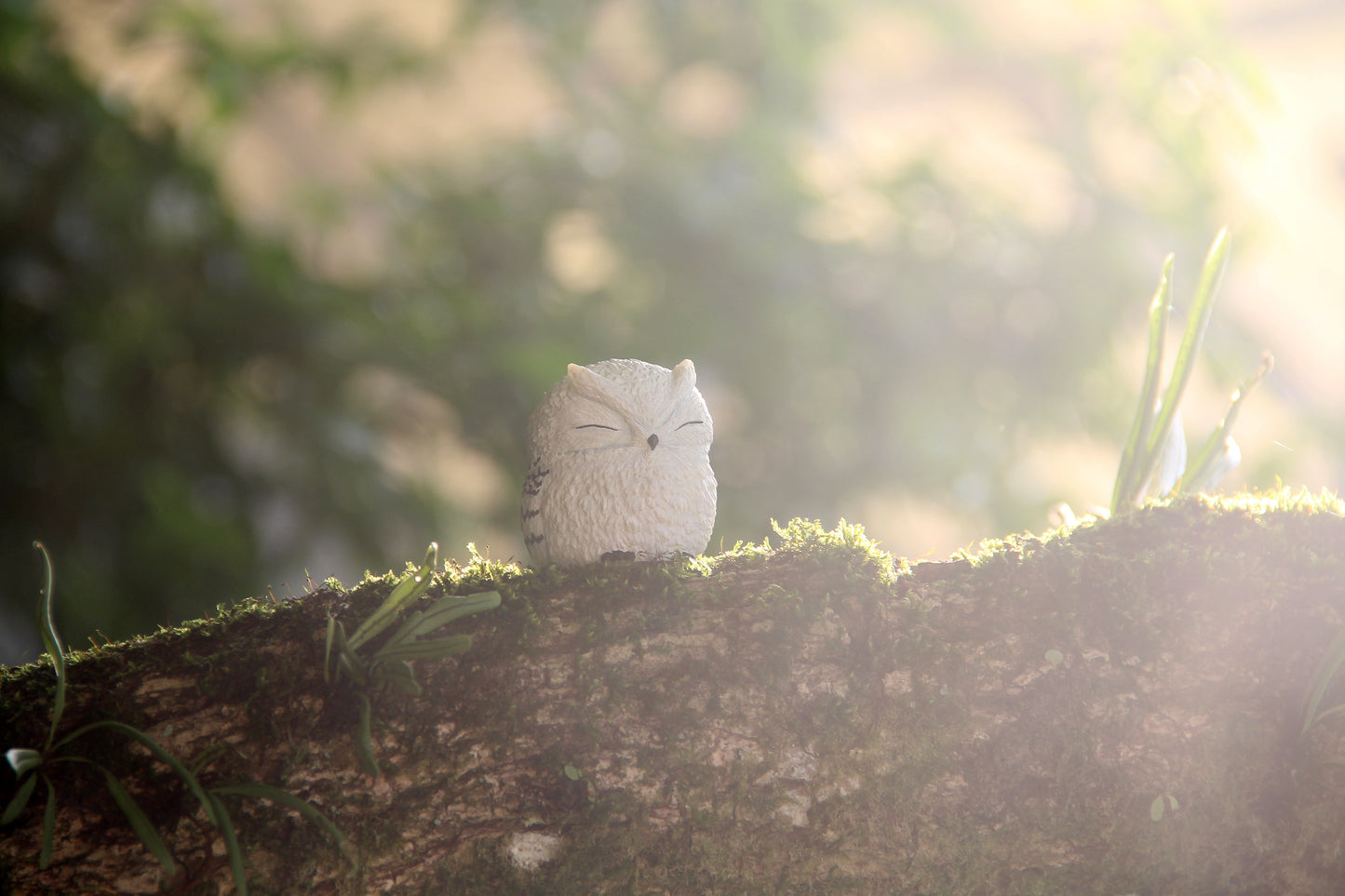 Owl Figurine - White