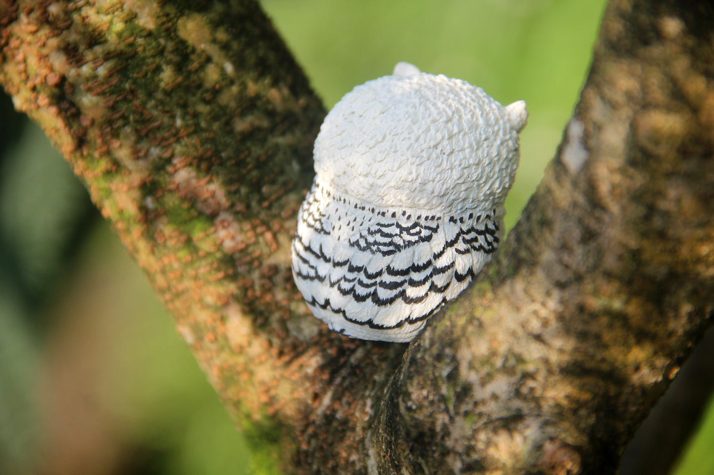 Owl Figurine - White