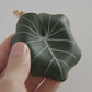 Philodendron Gloriosum Leather Bag Charm