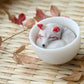 Kitsune in Teacup Figurine - White