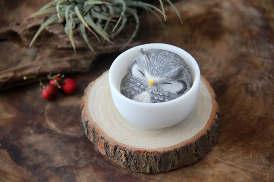 Owl in Teacup Figurine - Gray