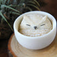 Owl in Teacup Figurine - White