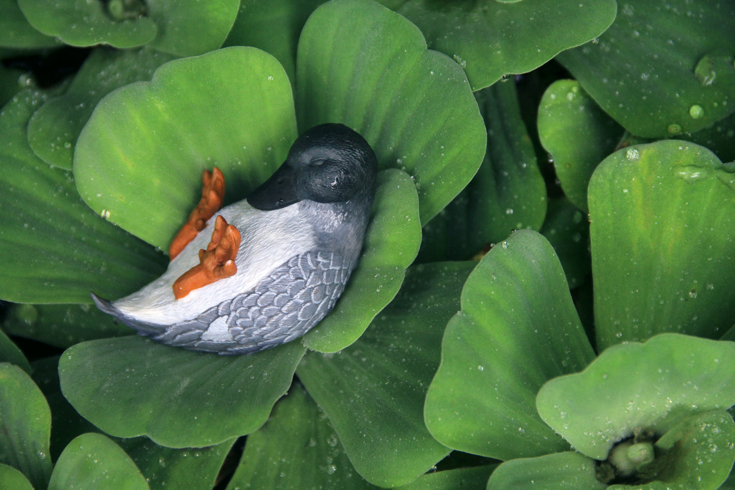 Wobbly Duck Figurine - Gray