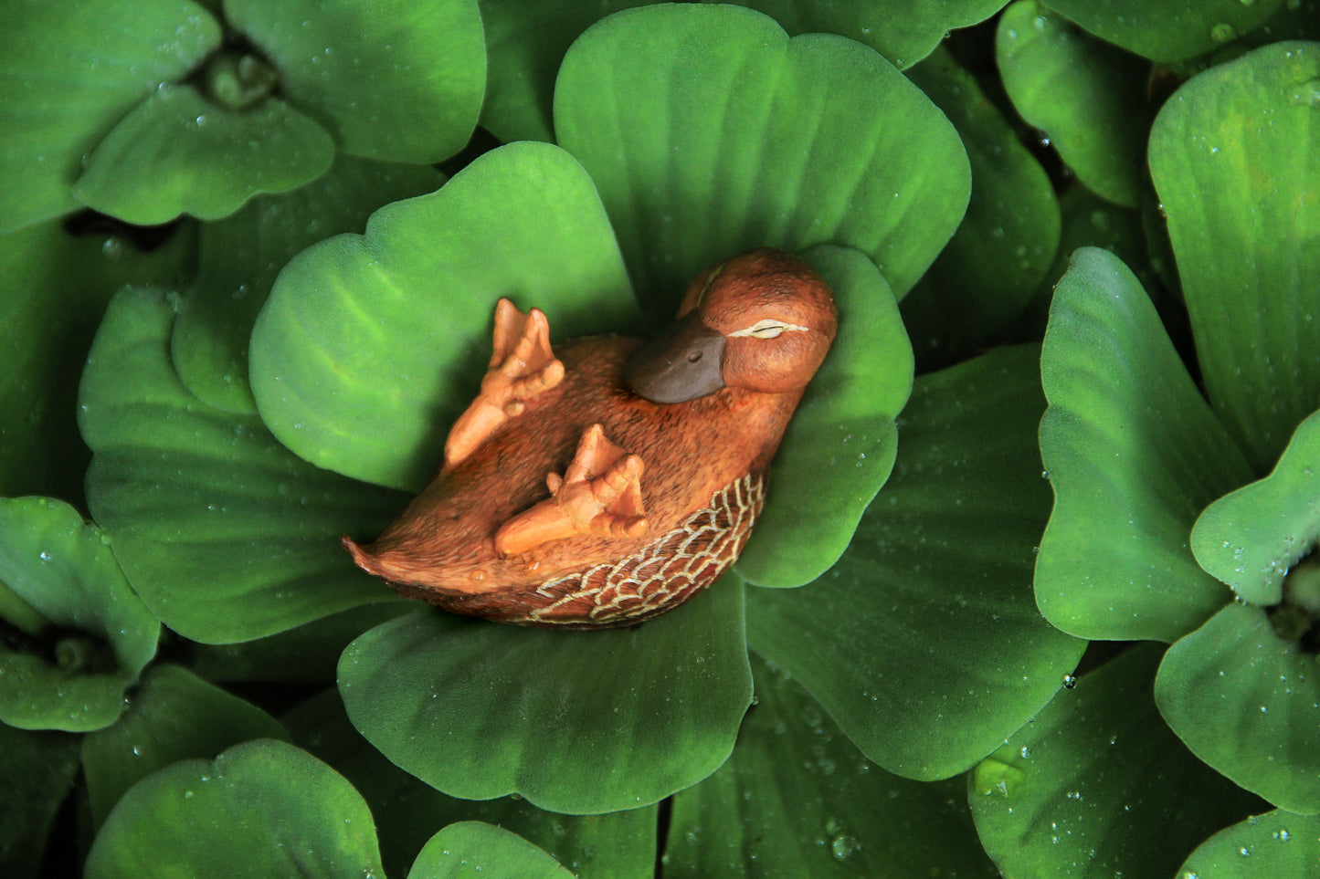 Wobbly Duck Figurine - Brown