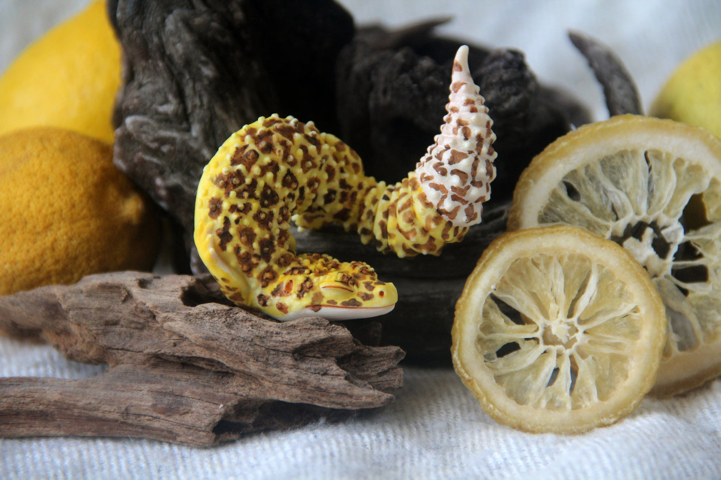 Gecko in Teacup Figurine - Leopard Gecko