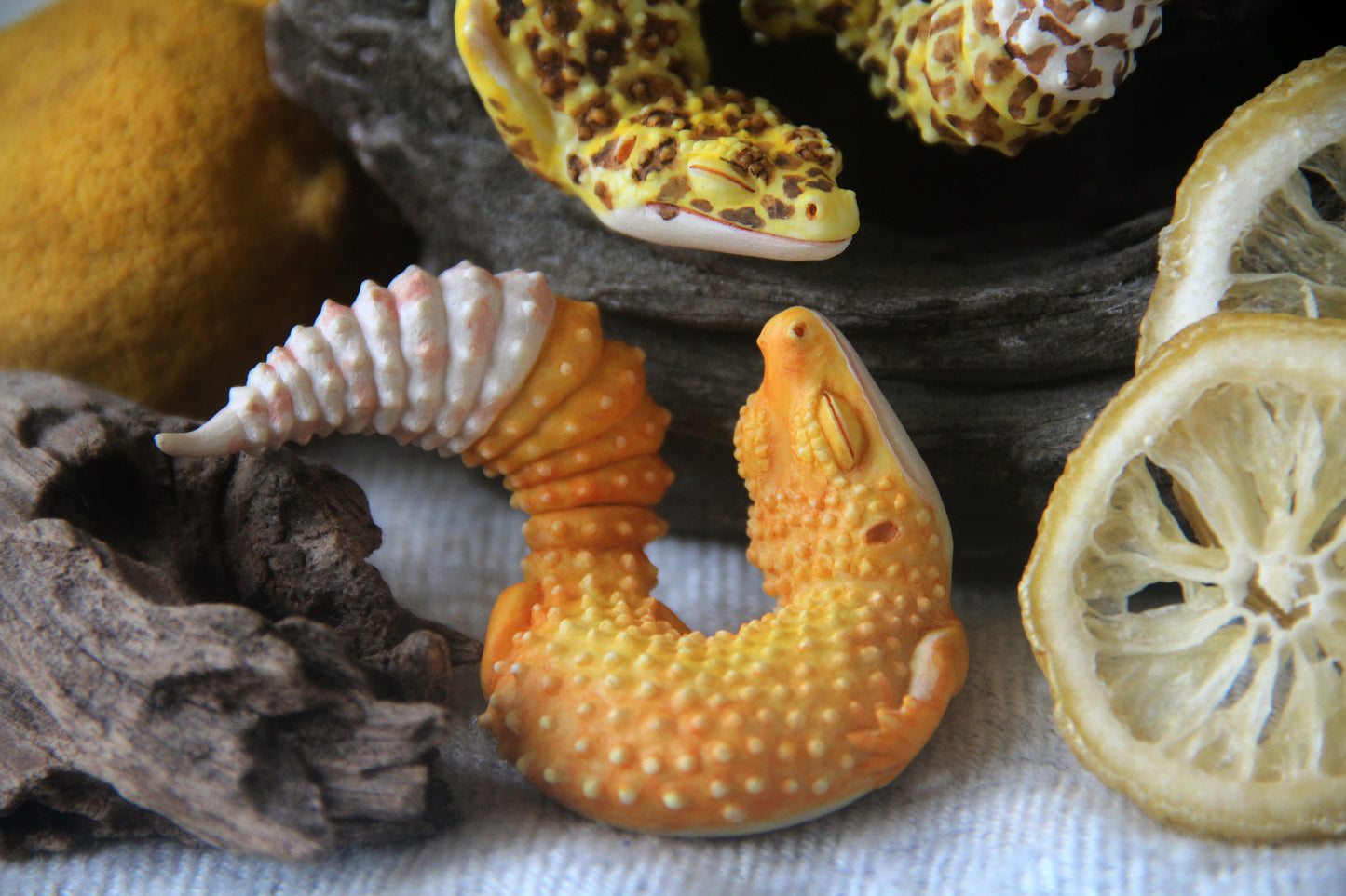 Gecko in Teacup Figurine - Leopard Gecko Nova