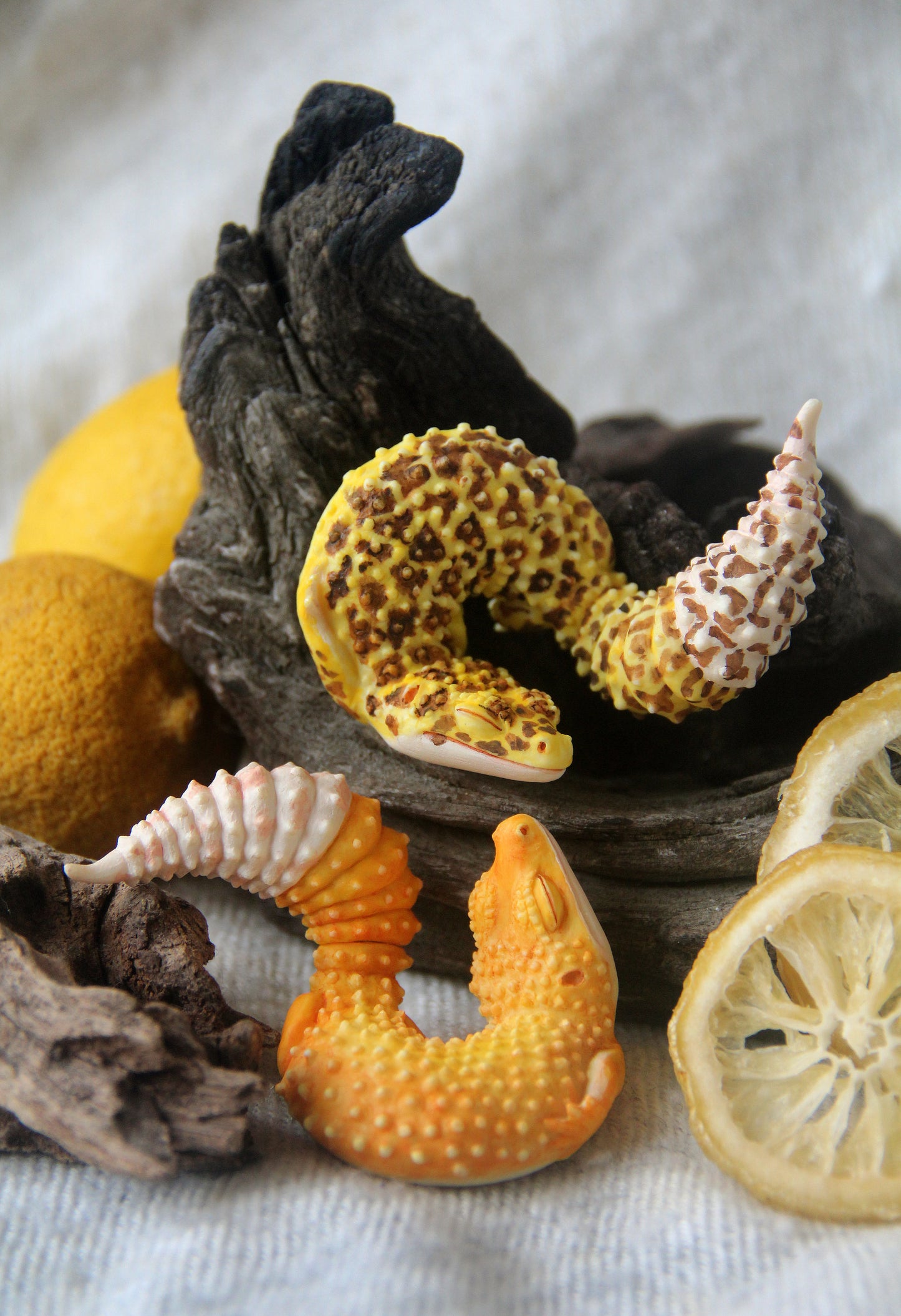 Gecko in Teacup Figurine - Leopard Gecko Nova