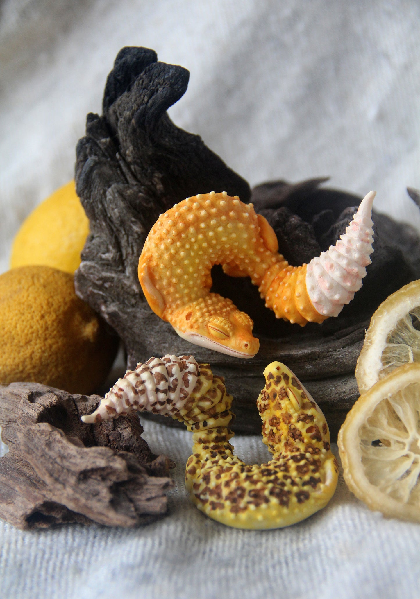 Gecko in Teacup Figurine - Leopard Gecko