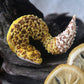 Gecko in Teacup Figurine - Leopard Gecko