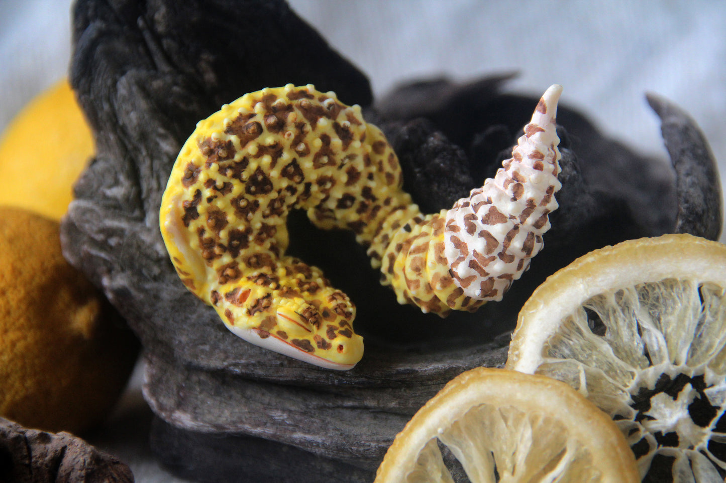 Gecko in Teacup Figurine - Leopard Gecko