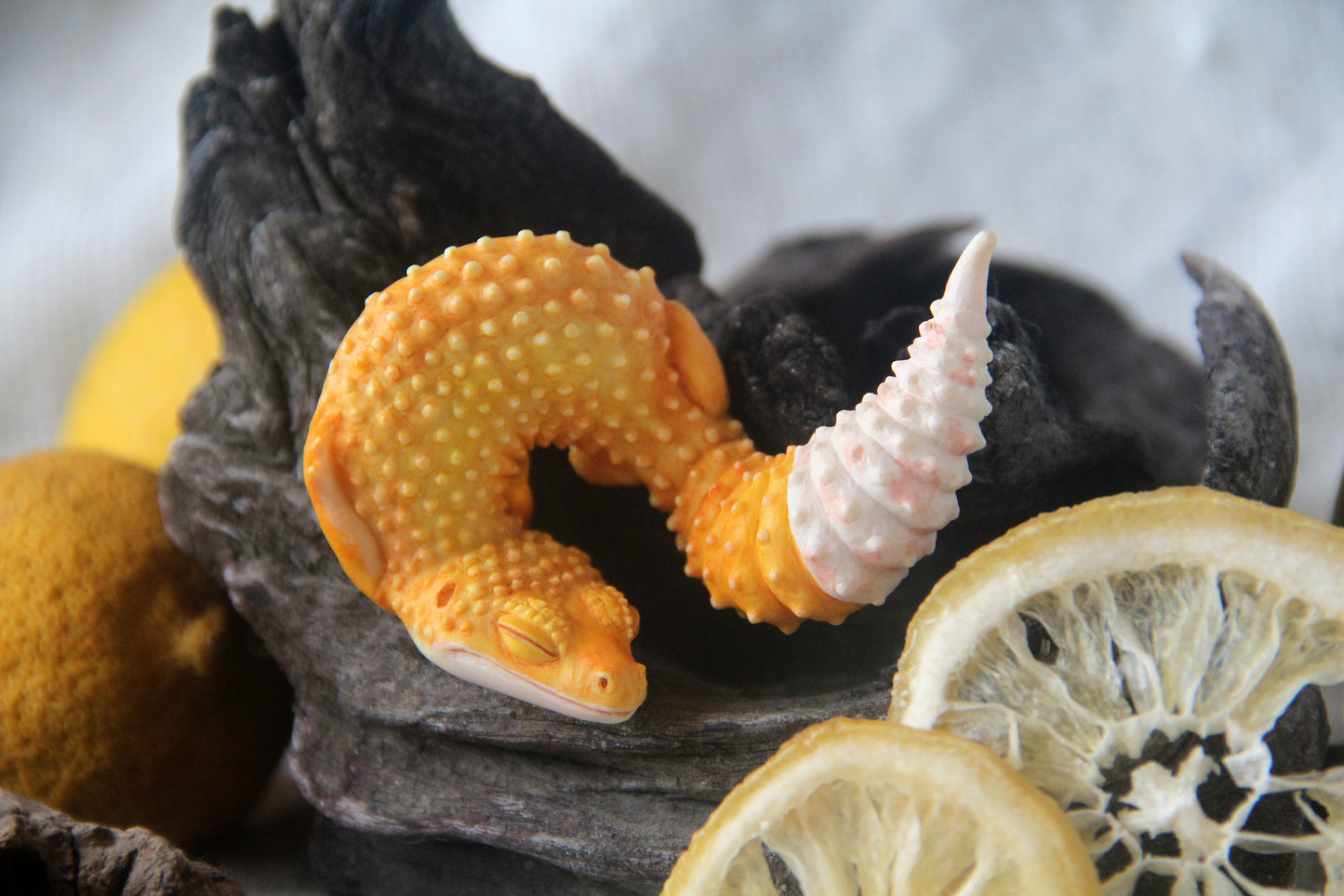 Gecko in Teacup Figurine - Leopard Gecko Nova