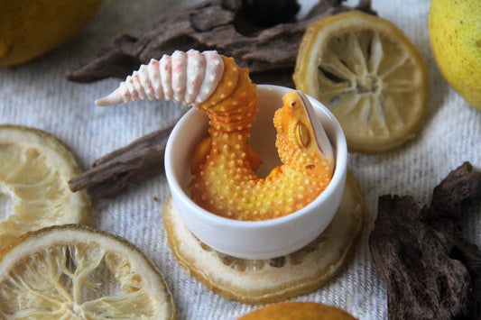 Gecko in Teacup Figurine - Leopard Gecko Nova