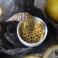 Gecko in Teacup Figurine - Leopard Gecko