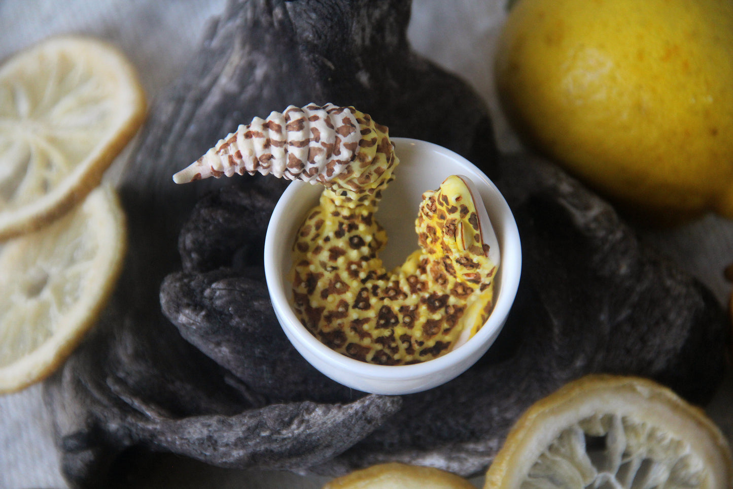 Gecko in Teacup Figurine - Leopard Gecko