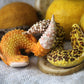 Gecko in Teacup Figurine - Leopard Gecko Nova