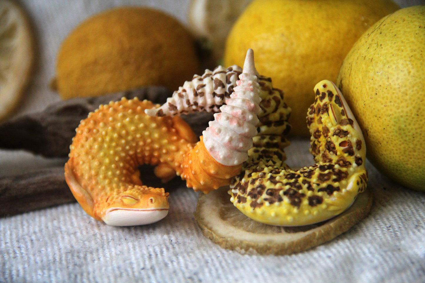 Gecko in Teacup Figurine - Leopard Gecko Nova