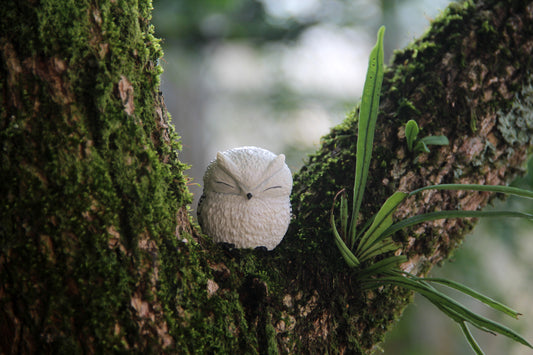 Owl Figurine - White