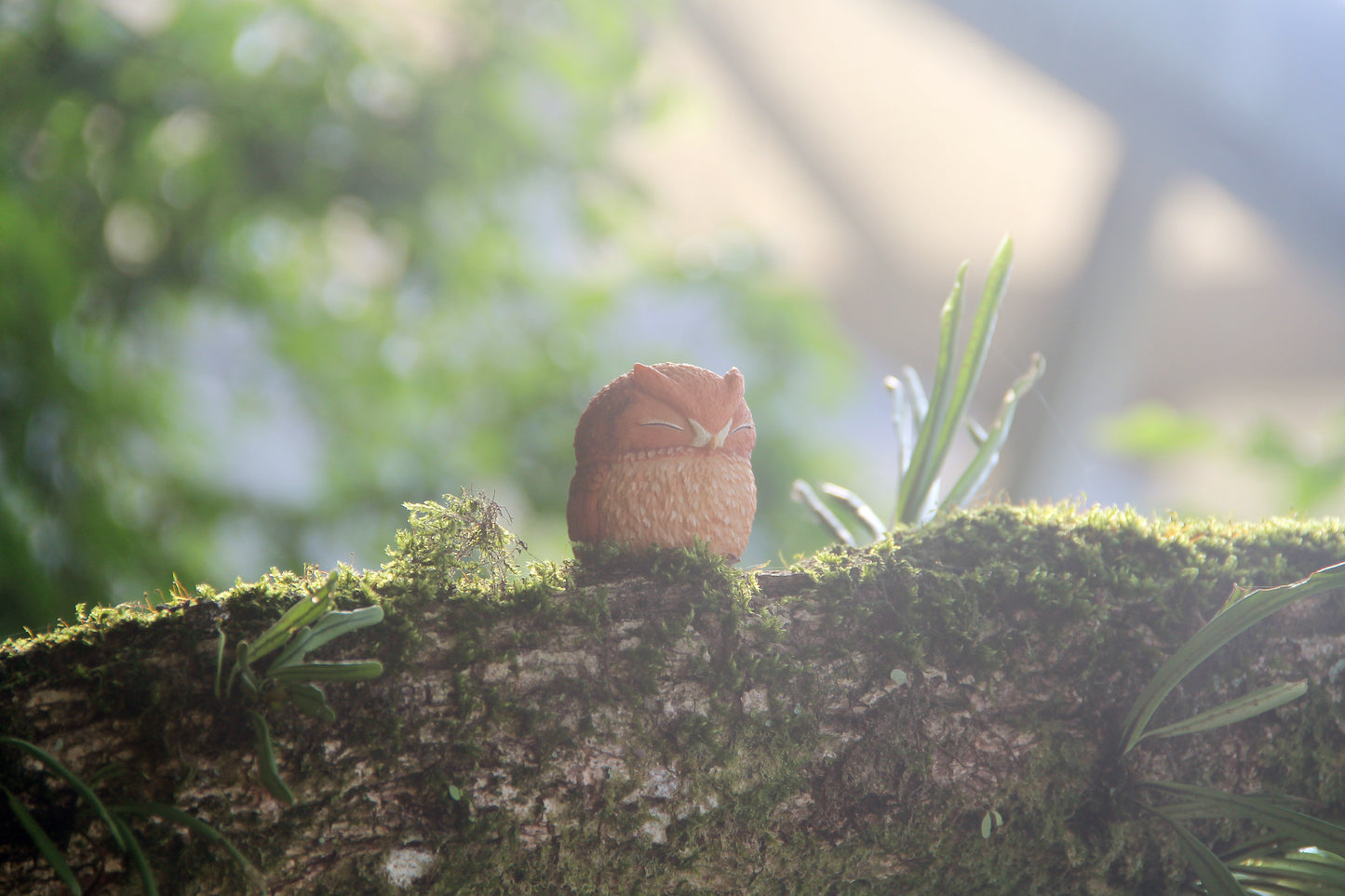 Owl Figurine - Brown