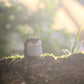 Owl Figurine - Gray